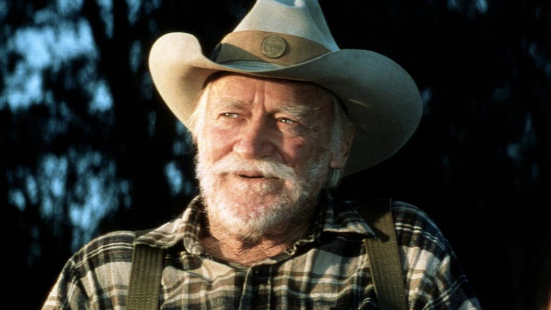 The Straight Story backdrop 19