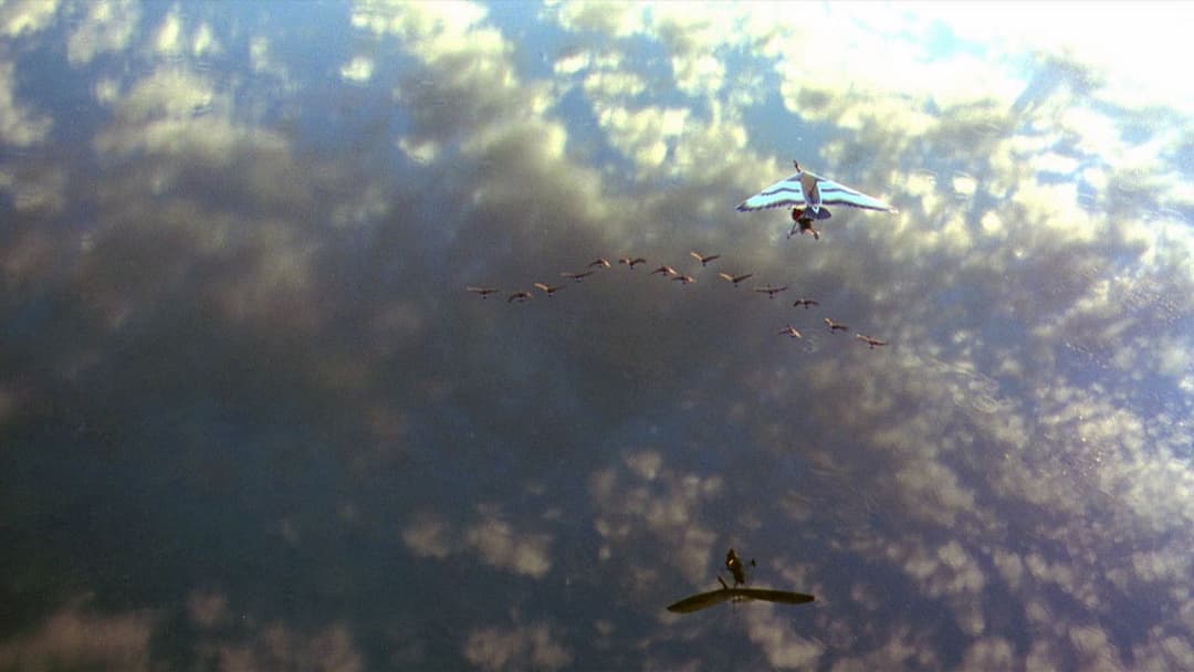 Amy und die Wildgänse backdrop 3