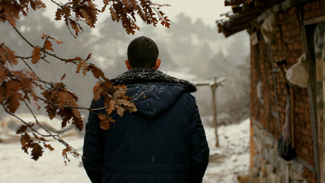 The Wild Pear Tree backdrop 10