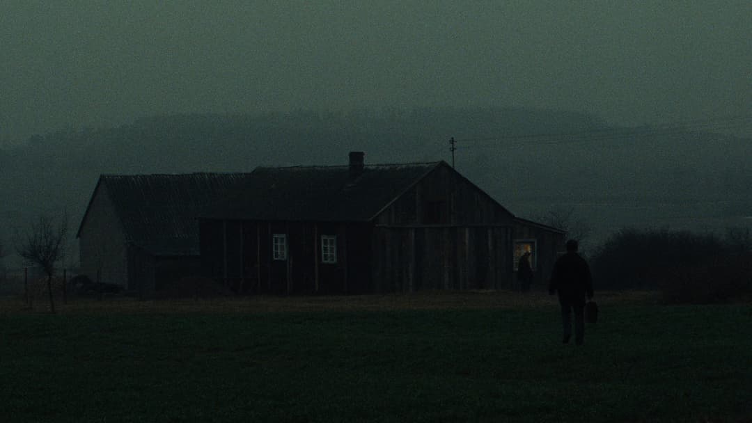 Drei Farben: Weiß backdrop 17