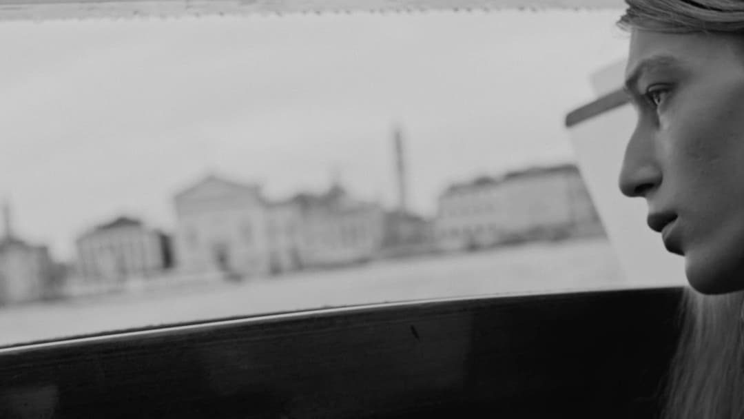 Accept Our Sincere Apologies backdrop 1