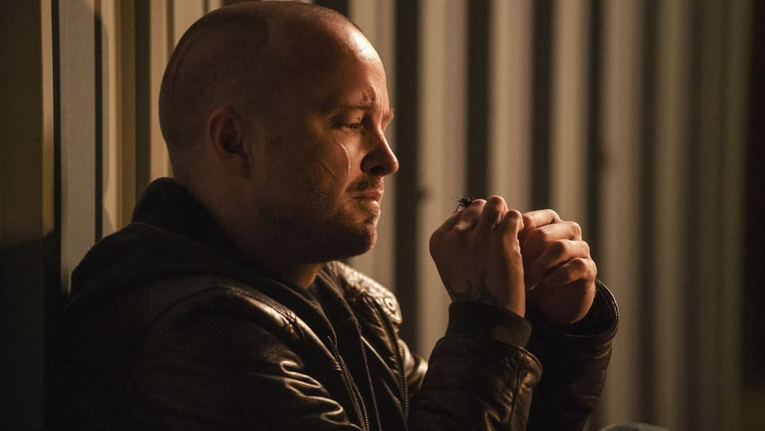 El Camino: A Breaking Bad Movie backdrop 17