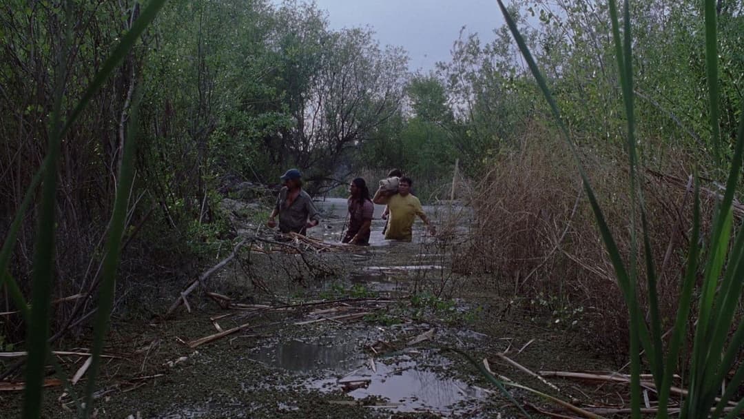 Adaptation. backdrop 18