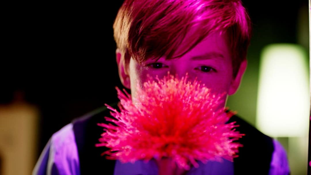 Little Joe - Glück ist ein Geschäft backdrop 8