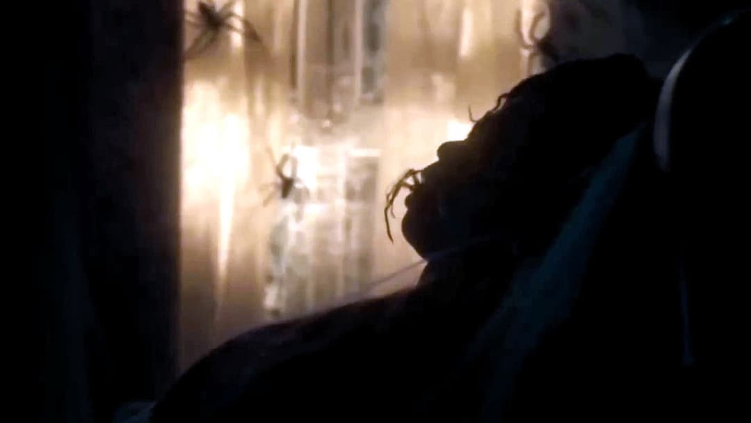 Павуче лігво backdrop 10