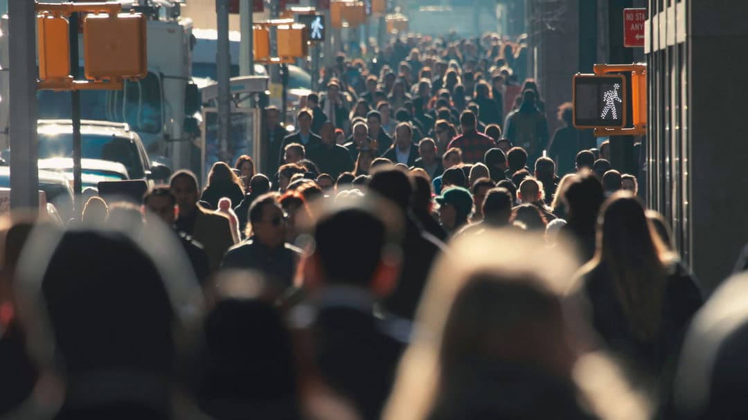 Three Identical Strangers backdrop 7