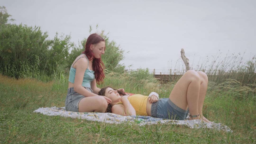 Bendito Verano backdrop 2