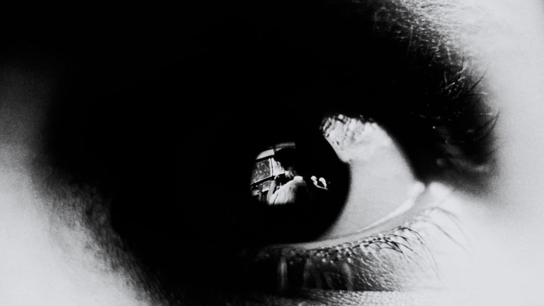 Eve's Bayou backdrop 9