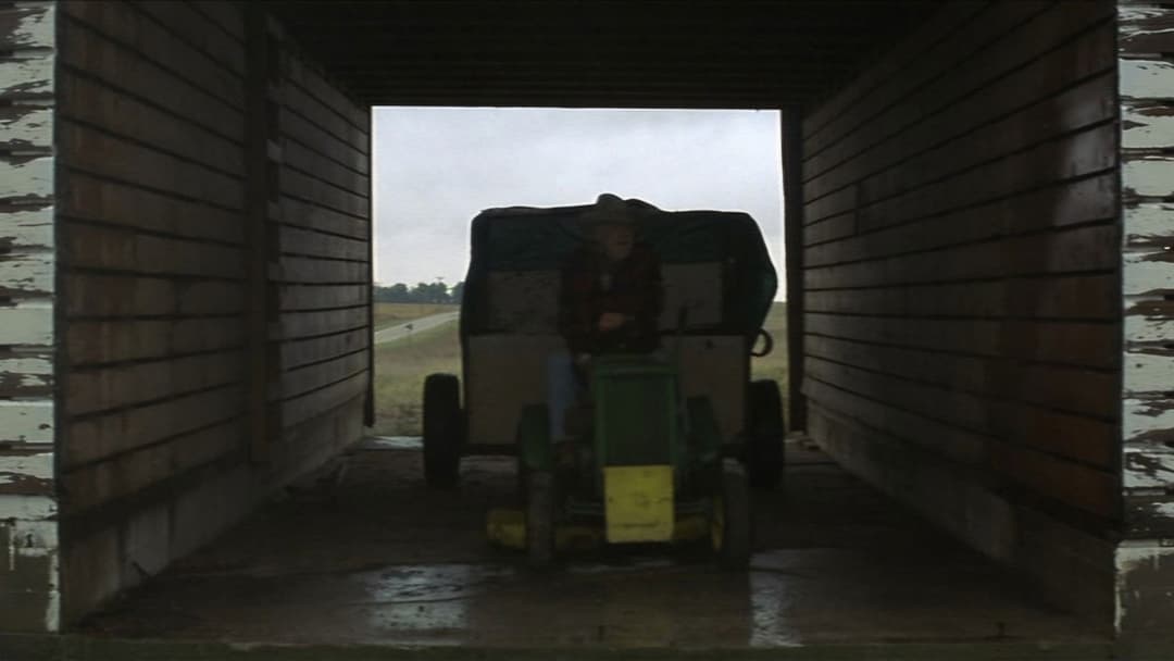 The Straight Story backdrop 6