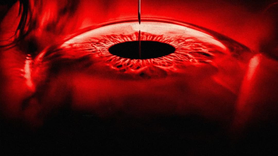 Наглядач backdrop 4