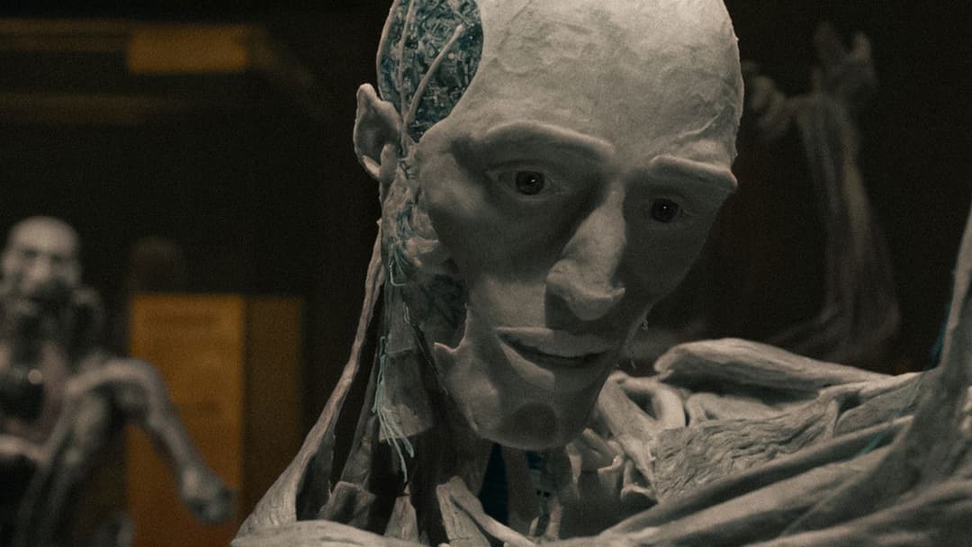 After Yang backdrop 5