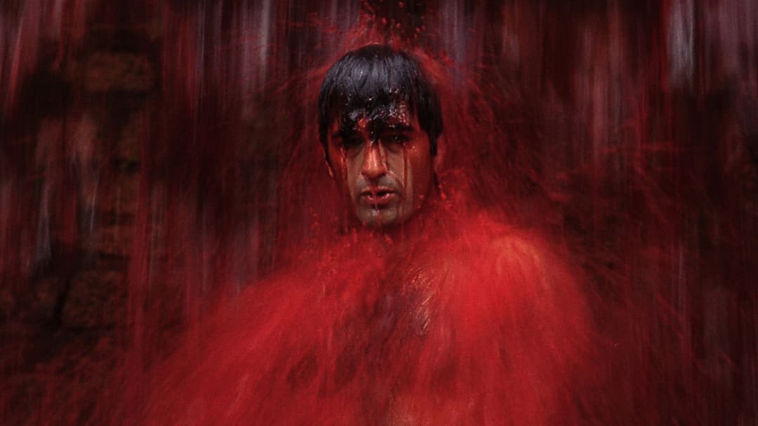 Neighboring Sounds backdrop 1