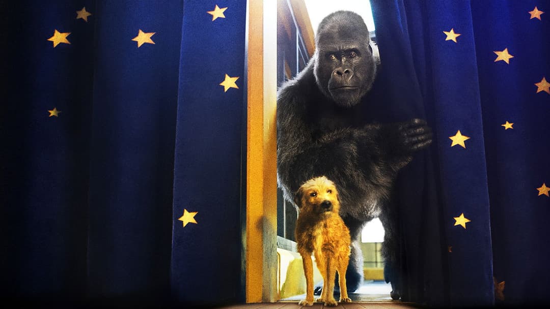 Айван, єдиний і неповторний backdrop 18