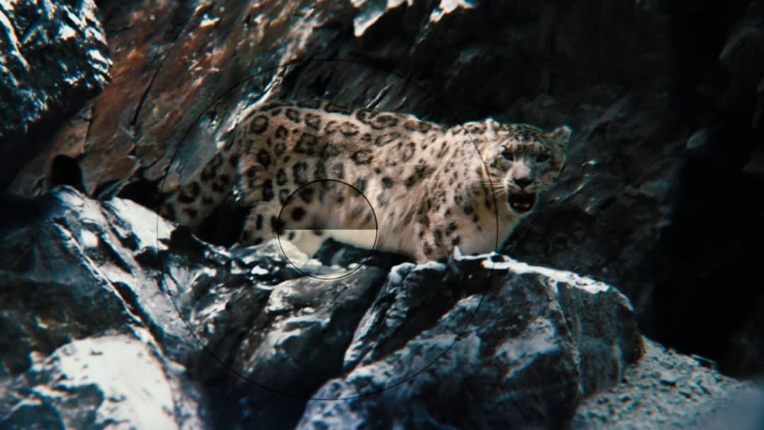 Das erstaunliche Leben des Walter Mitty backdrop 12