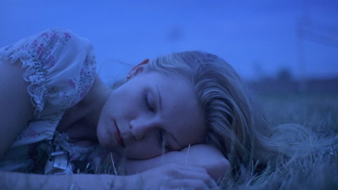 The Virgin Suicides backdrop 17