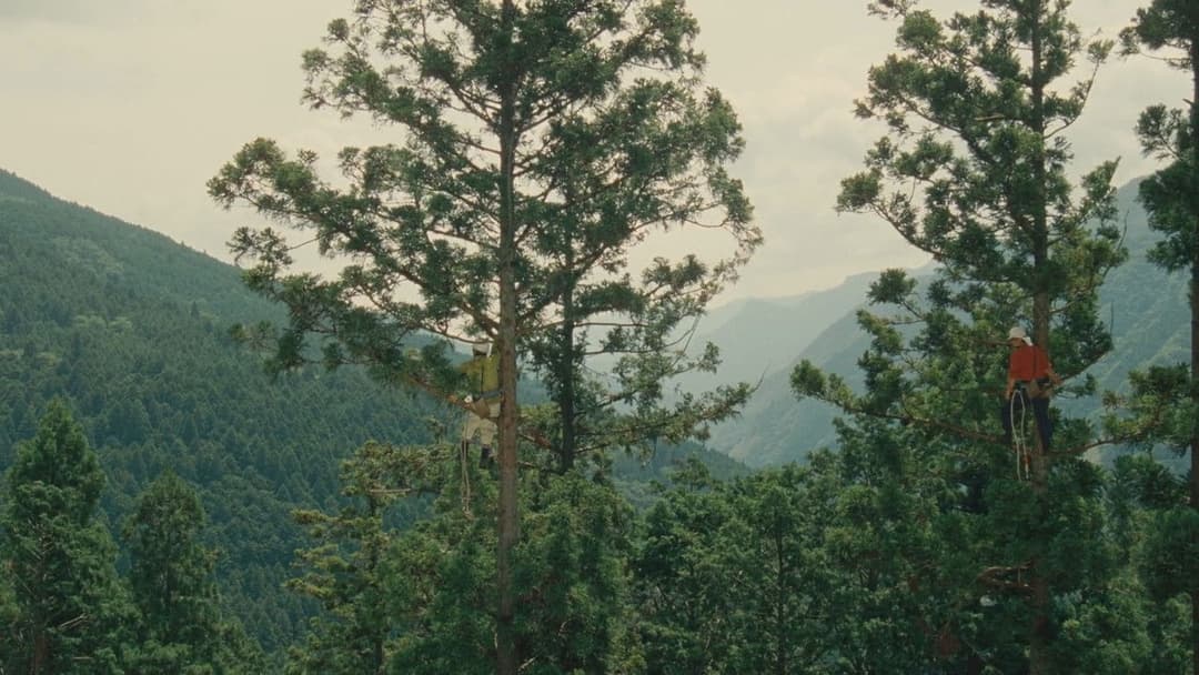 WOOD JOB! ～神去なあなあ日常～ backdrop 6