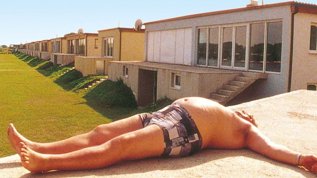 Hundstage backdrop 2