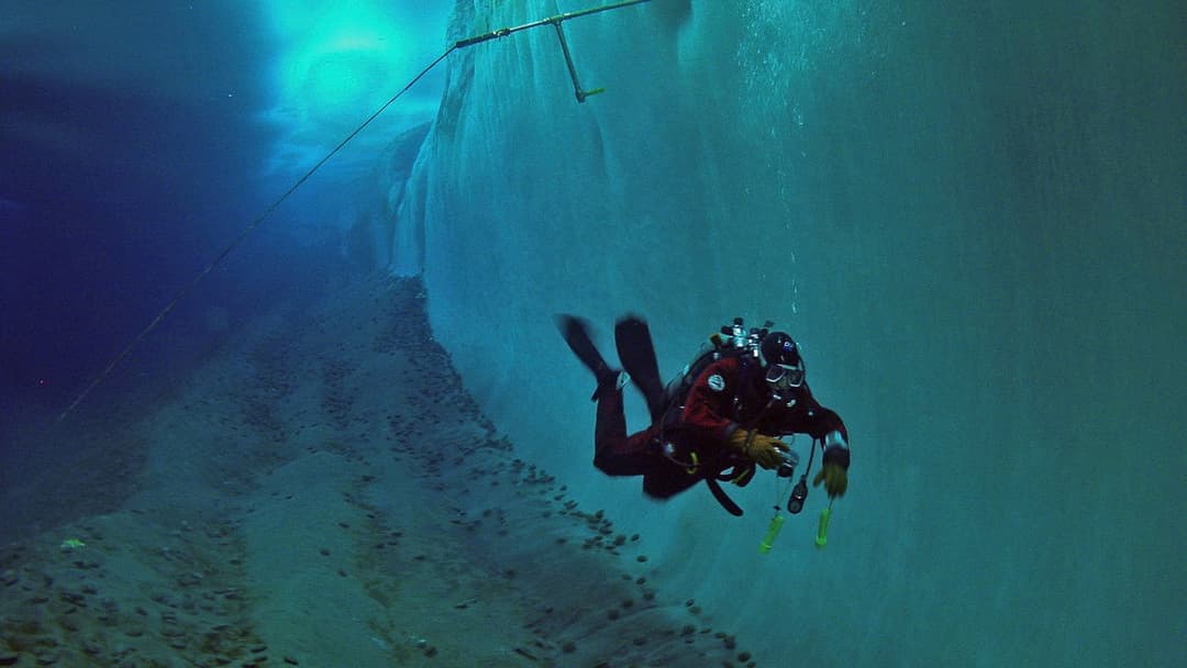 Encounters at the End of the World backdrop 6