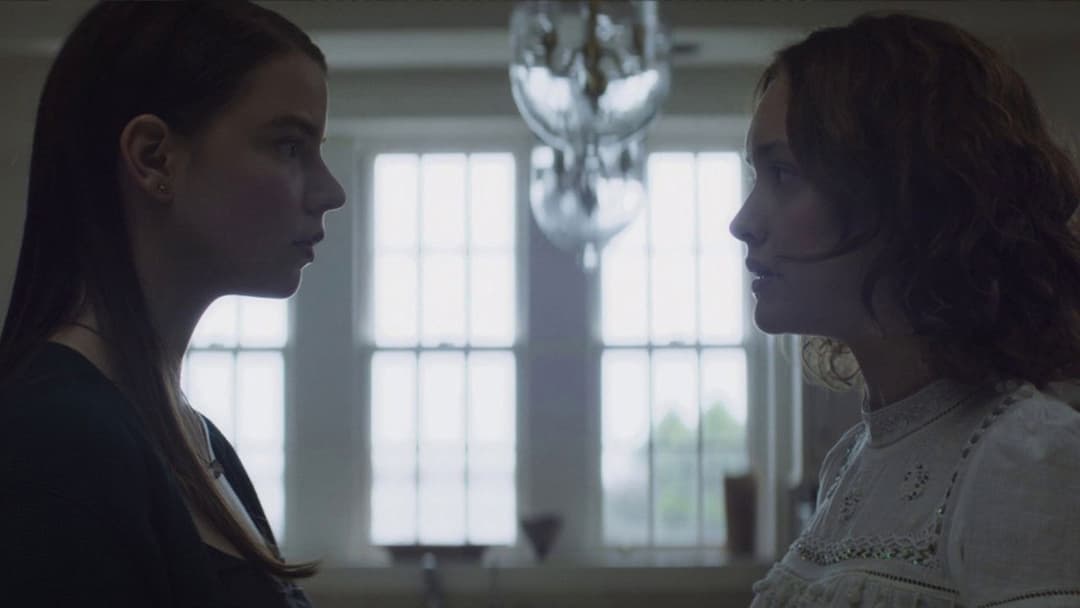 Thoroughbreds backdrop 5