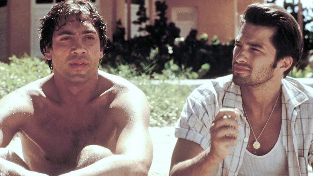 Before Night Falls backdrop 3