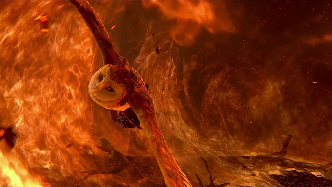 Legend of the Guardians: The Owls of Ga'Hoole backdrop 12