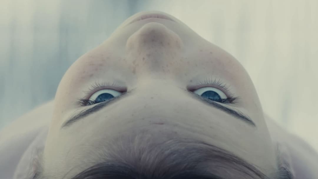 День істини backdrop 2