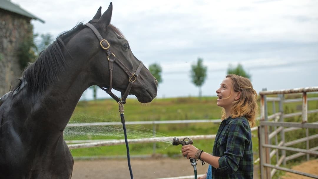 Rock My Heart backdrop 3