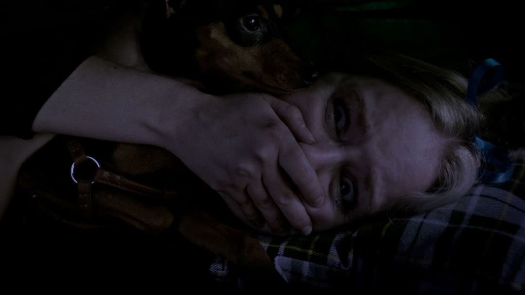 Grizzly Night backdrop 11