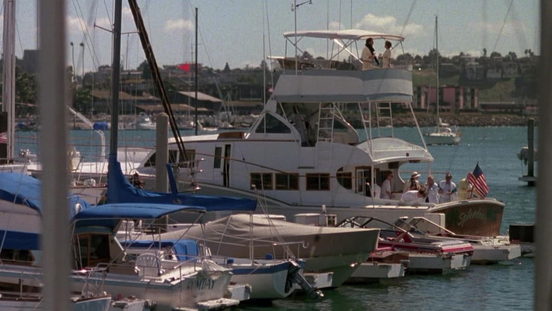 Pacific Heights backdrop 1