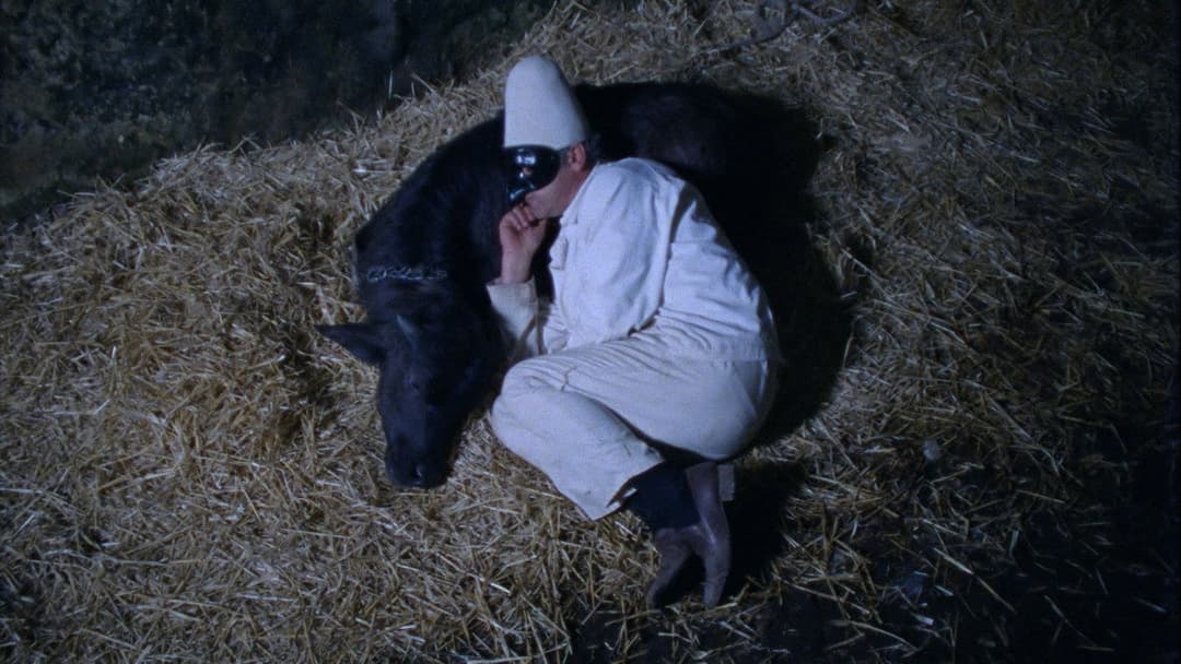 Lost and Beautiful backdrop 9