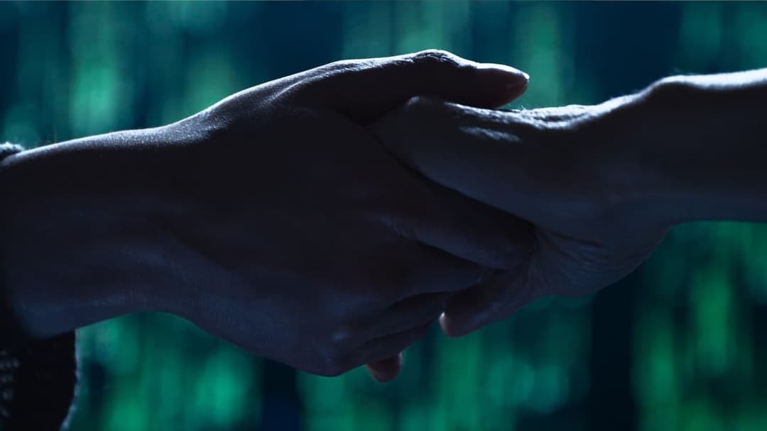 Matrix Resurrections backdrop 5