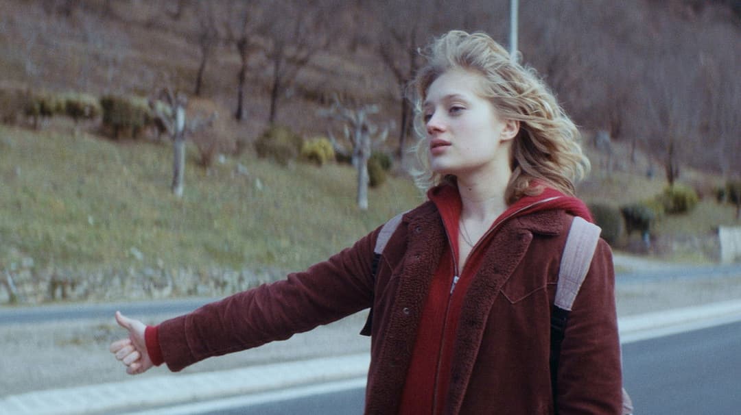 Only the Animals backdrop 4