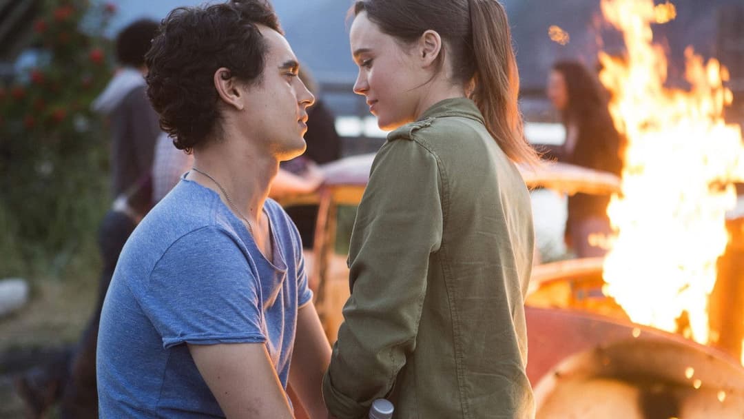 Into the Forest backdrop 4