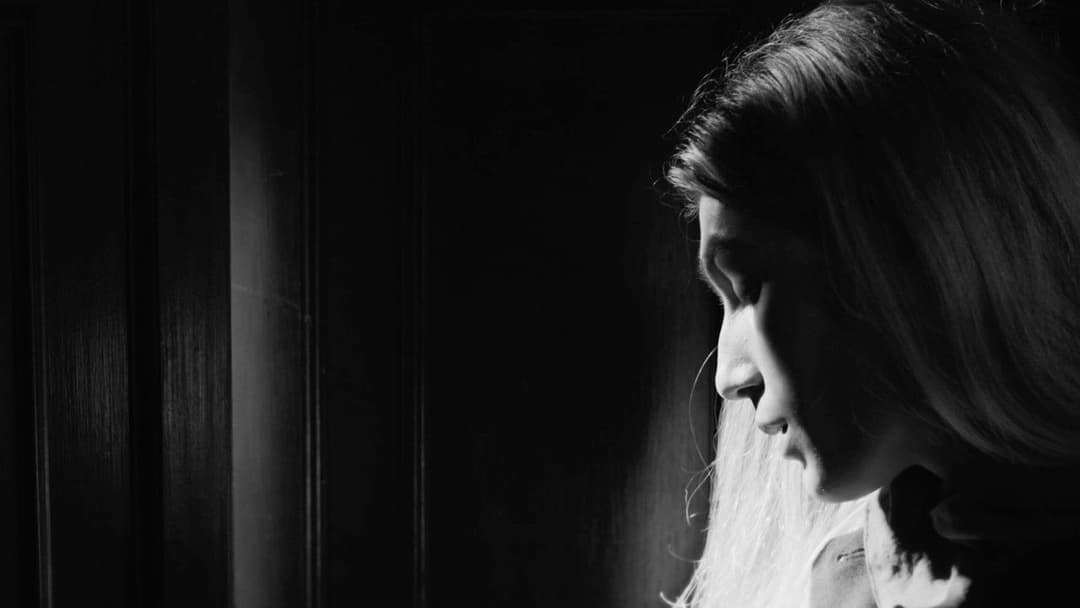 Accept Our Sincere Apologies backdrop 5