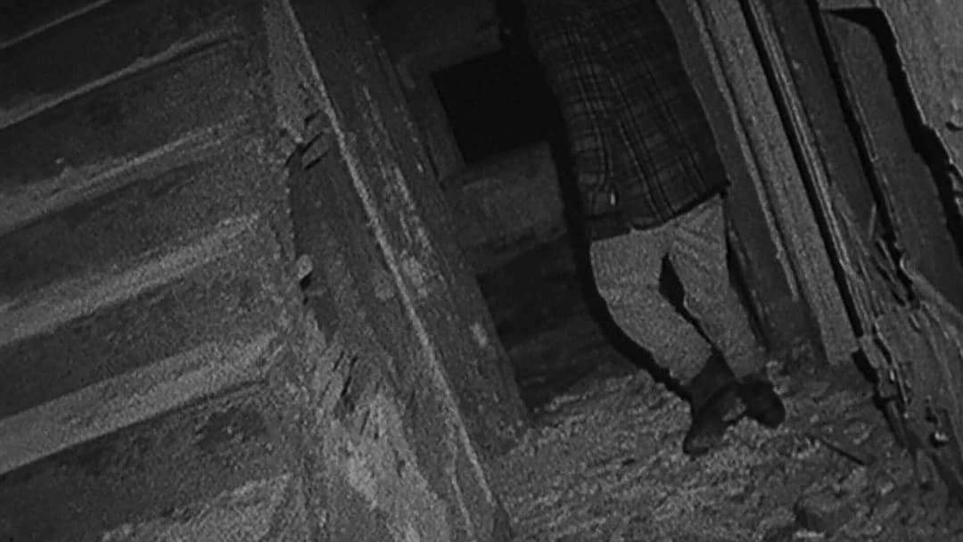 Відьма з Блер: Курсова з того світу backdrop 8