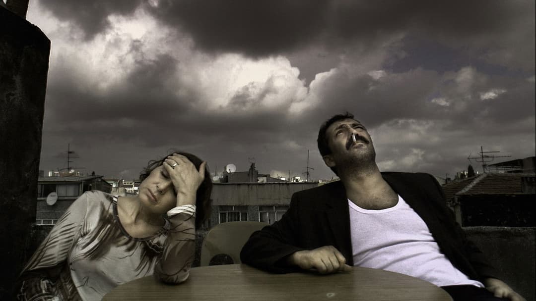 Drei Affen backdrop 5