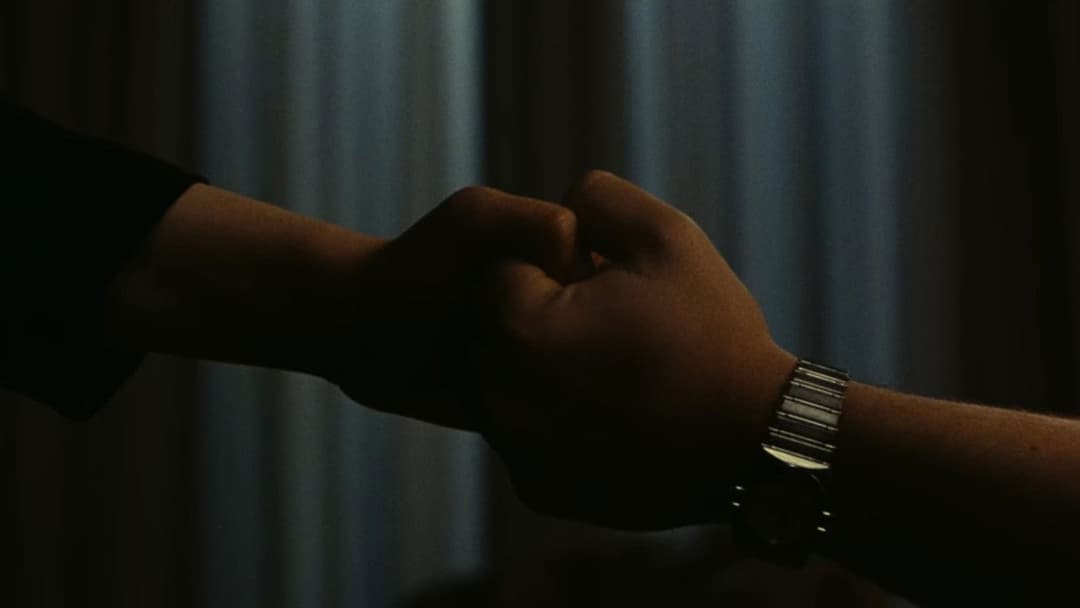 Drei Farben: Weiß backdrop 15