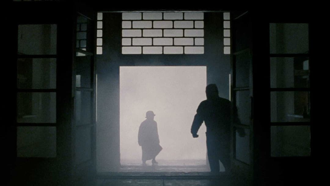 Після життя backdrop 7