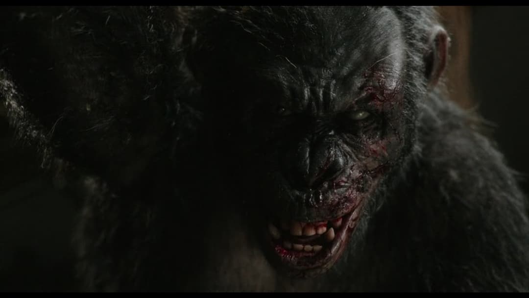Dawn of the Planet of the Apes backdrop 5