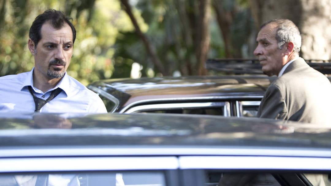 The Insult backdrop 5