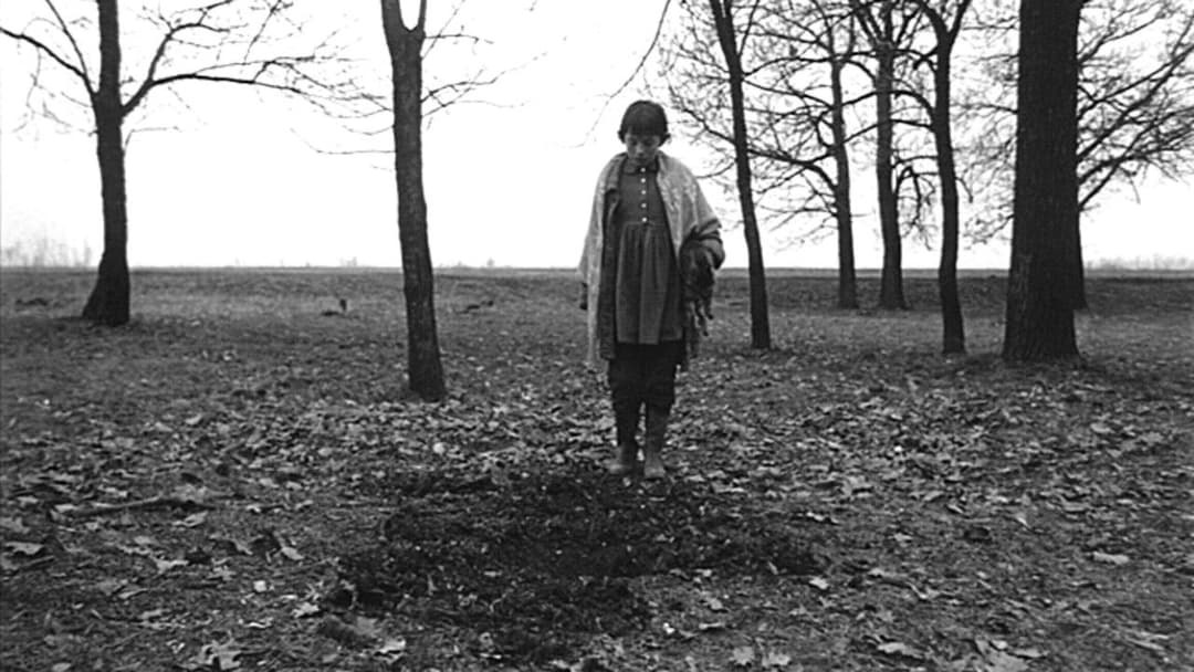 Satantango backdrop 20