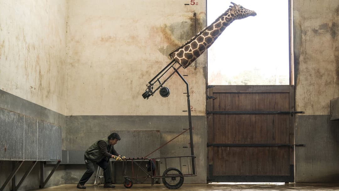 Secret Zoo backdrop 16