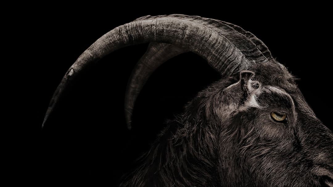 The Witch backdrop 9