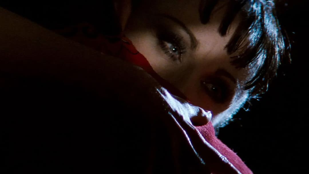 Мулен Руж backdrop 16