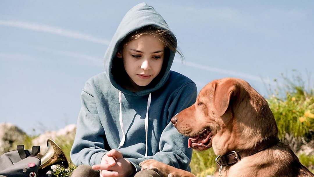 Білий бог backdrop 2