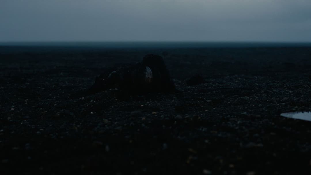 Die Odyssee backdrop 16