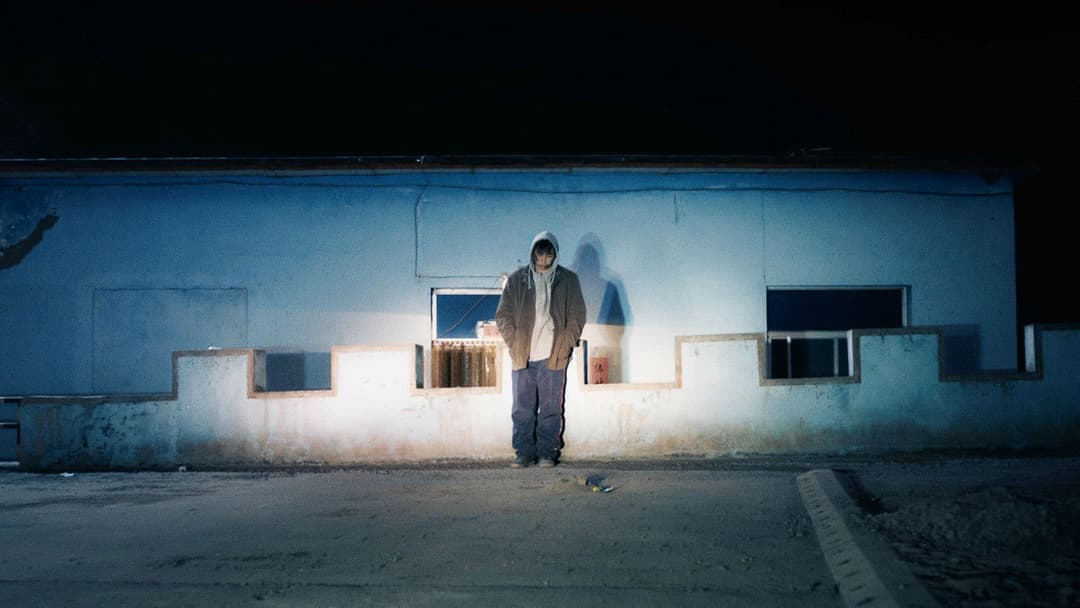 An Elephant Sitting Still backdrop 15