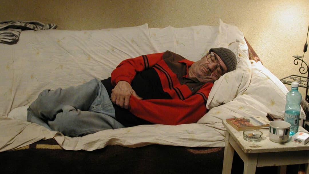 The Death of Mr. Lazarescu backdrop 5