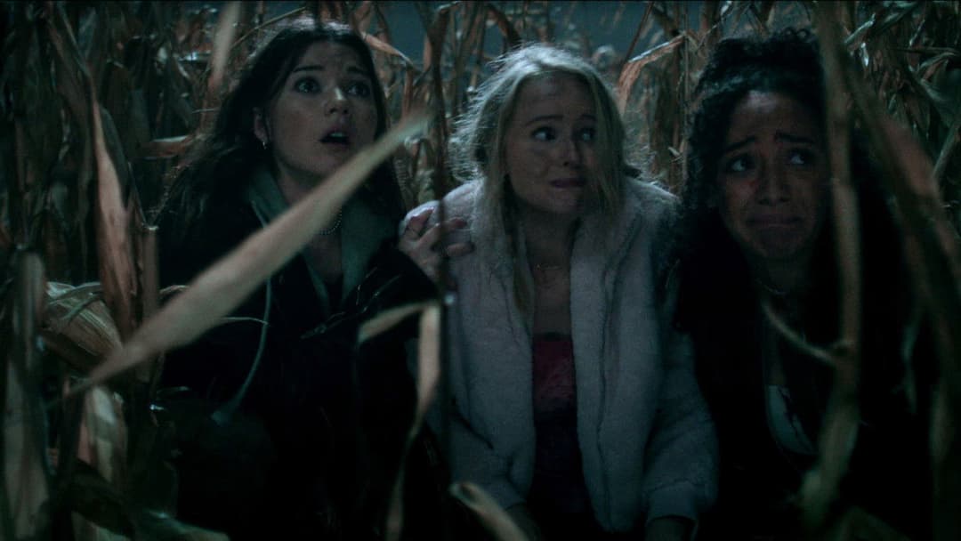 Clown in a Cornfield backdrop 12