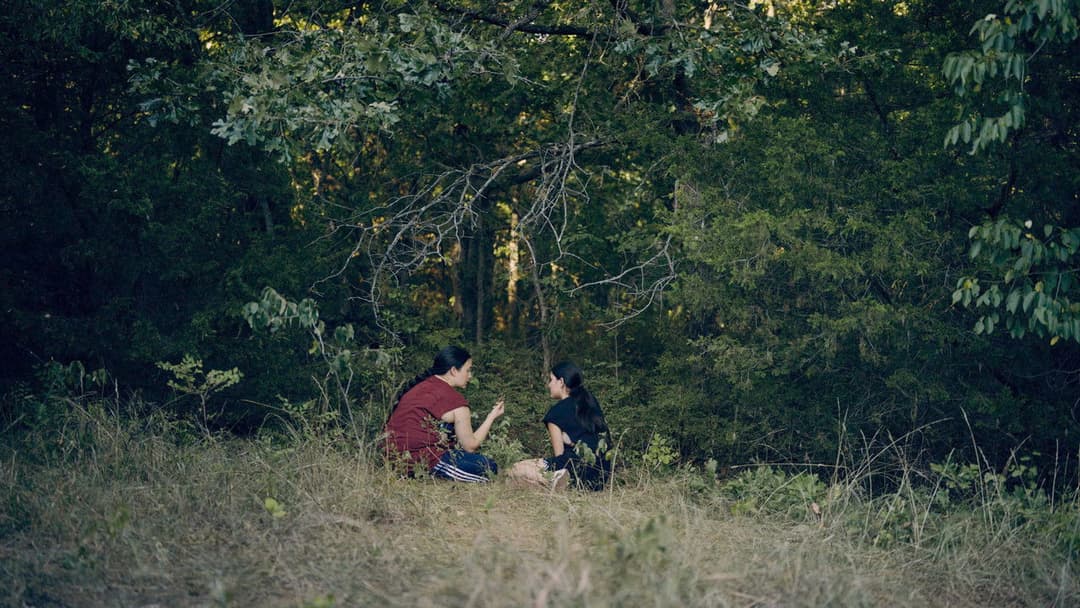 Fancy Dance backdrop 11